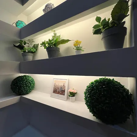 Rea Silvia Intero Indipendente